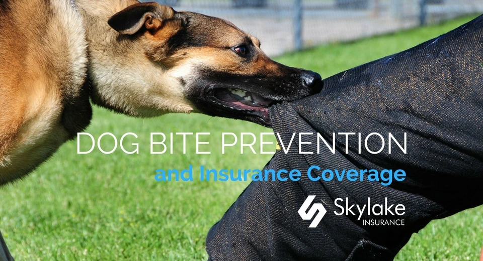 Dog bite insurance